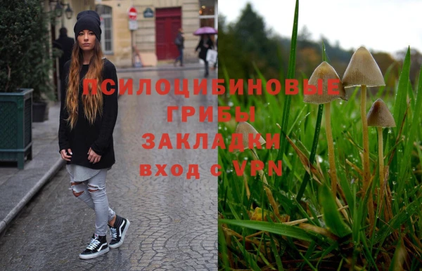 винт Алексеевка